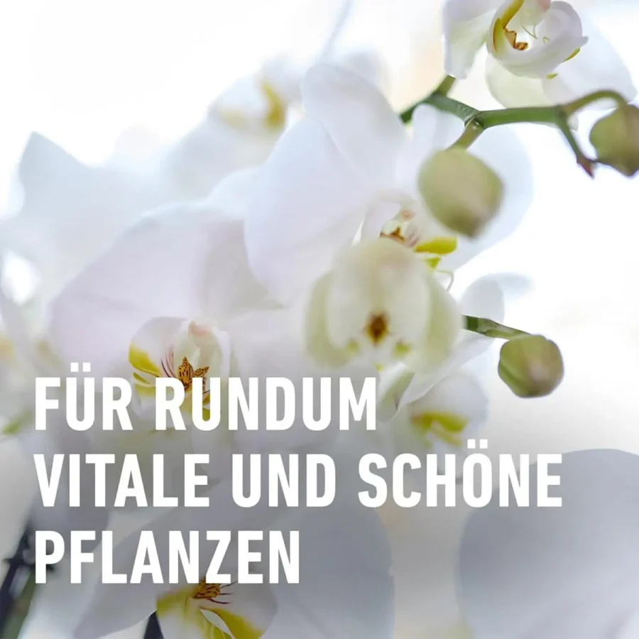 COMPO Düngestäbchen für Orchideen – Bild 6