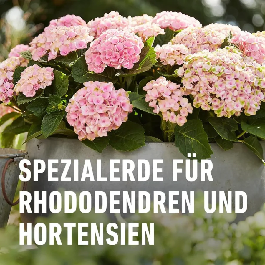 COMPO SANA Rhododendron- und Hortensienerde, 20 Liter – Bild 3