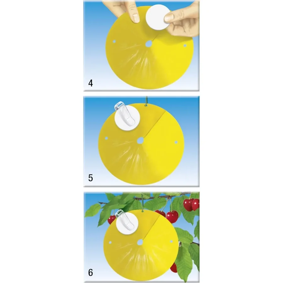 COMPO BIO Kirschfruchtfliegen-Falle, Leimfalle – Bild 5