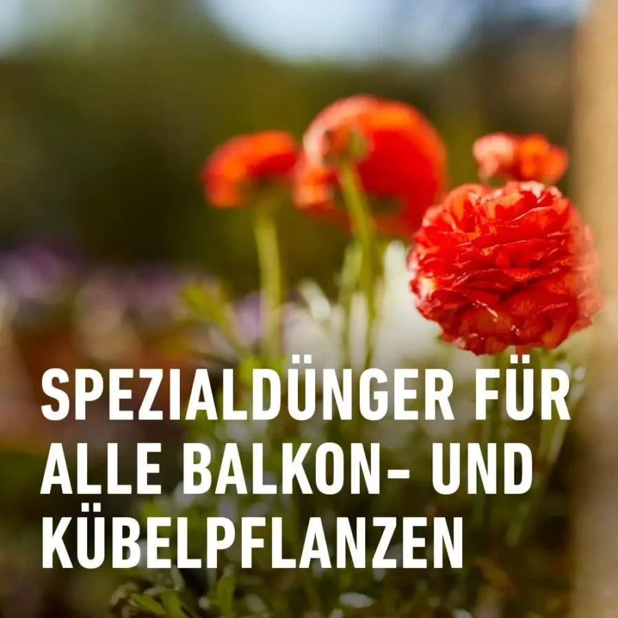 COMPO Balkon- und Kübelpflanzendünger, 2,5 Liter Kanister – Bild 2