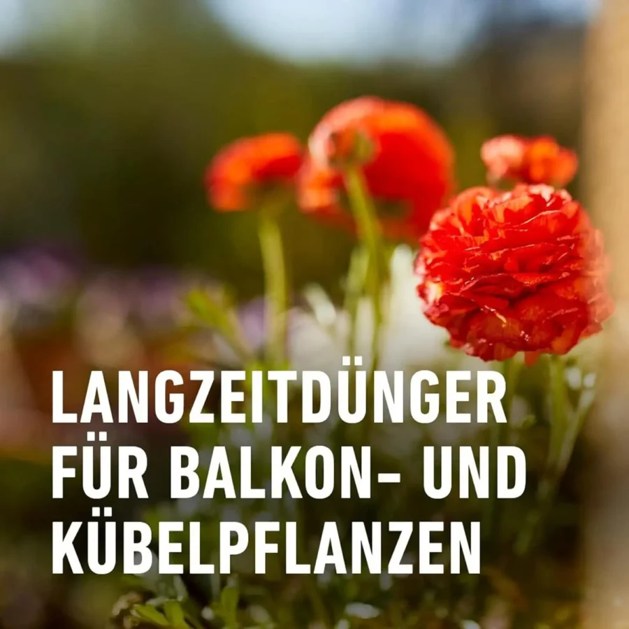 COMPO Balkon- und Kübelpflanzendünger, 1,2 kg Eimer – Bild 3