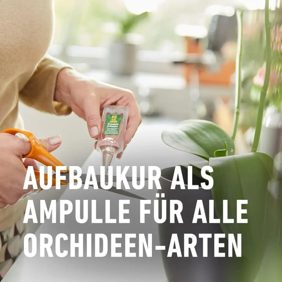 COMPO Orchideen-Aufbaukur, 30 ml – Bild 2