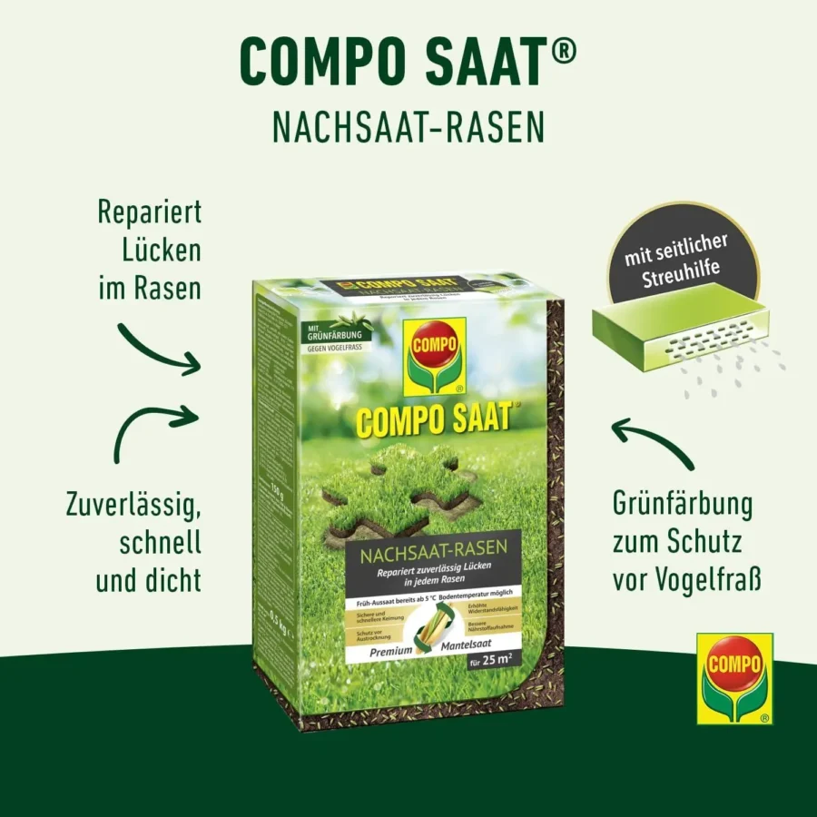 COMPO SAAT Nachsaat-Rasen, 500 g für 25 qm – Bild 2