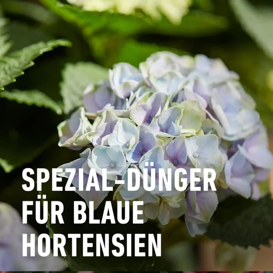 COMPO Spezialdünger Blaue Hortensien, 800 g – Bild 3