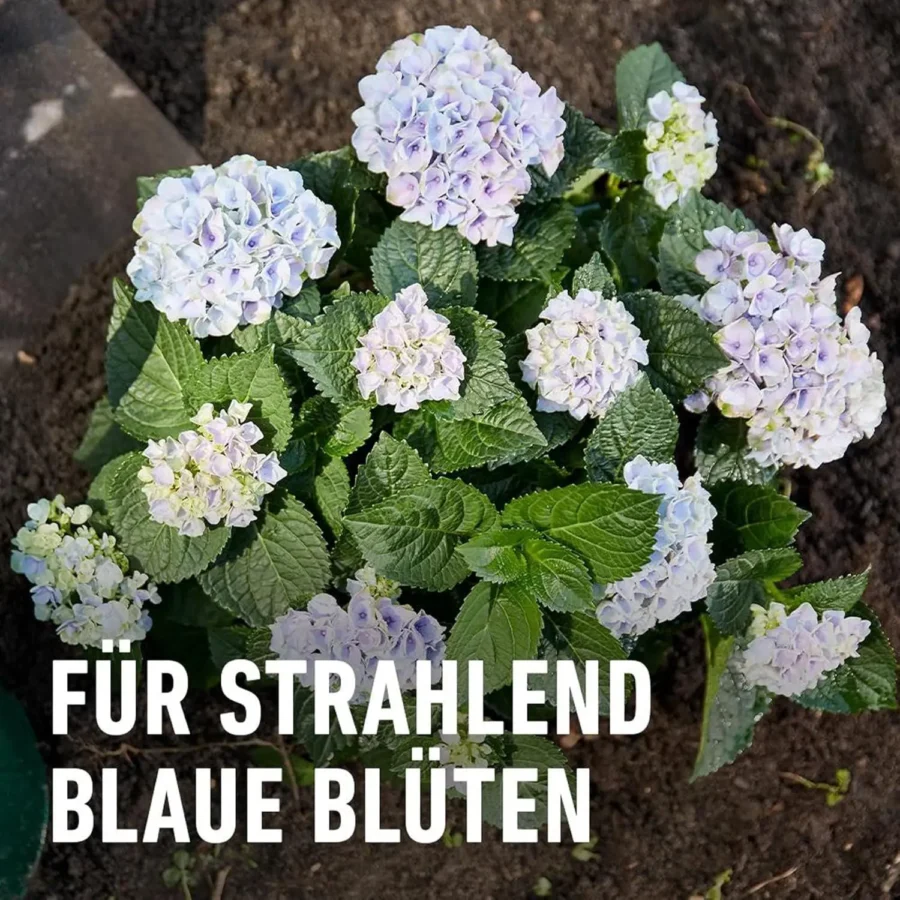 COMPO Spezialdünger Blaue Hortensien, 800 g – Bild 6