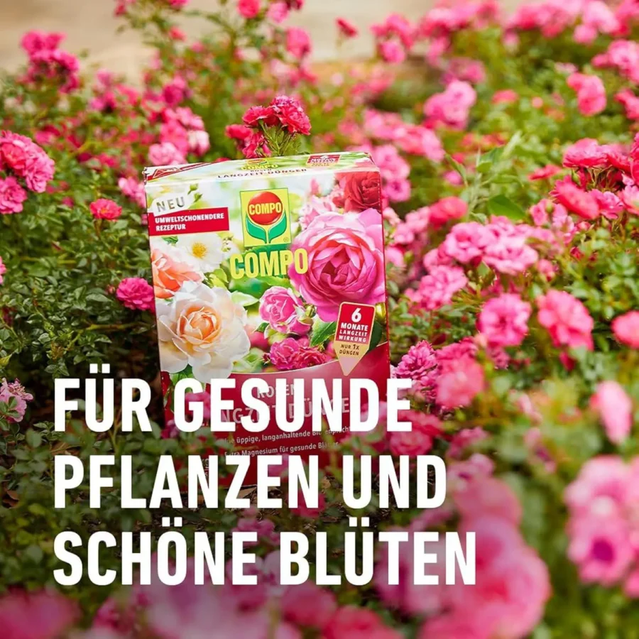 COMPO Rosen Langzeit-Dünger, 850 g – Bild 6