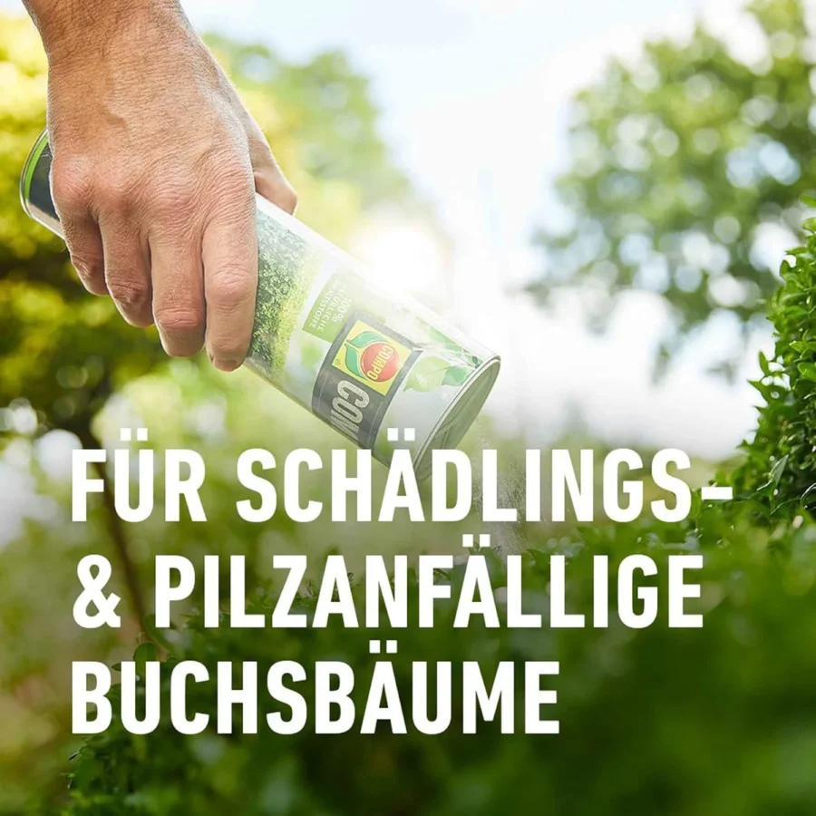 COMPO Algenkalk für Buchsbäume, 1.000 g - Für Schädlings- & Pilzanfällige Buchsbäume