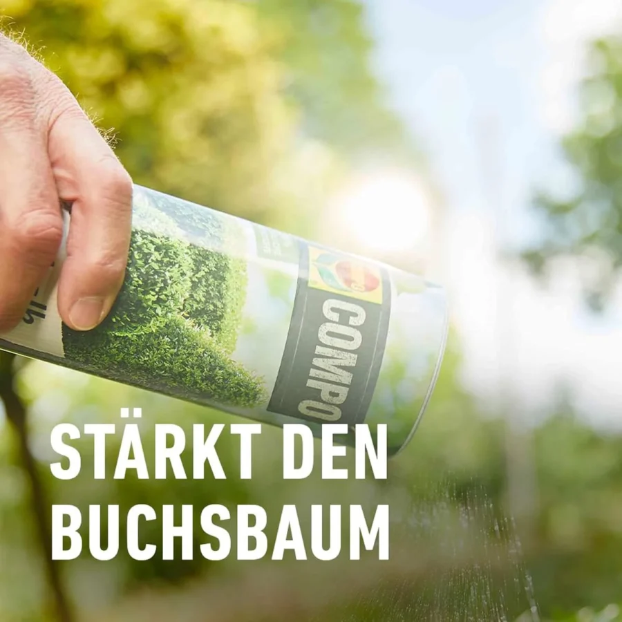 COMPO Algenkalk für Buchsbäume, 1.000 g - Stärkt den Buchsbaum