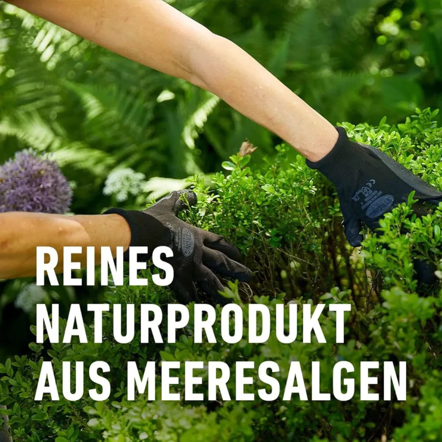 COMPO Algenkalk für Buchsbäume, 1.000 g - Reines Naturprodukt aus Meeresalgen