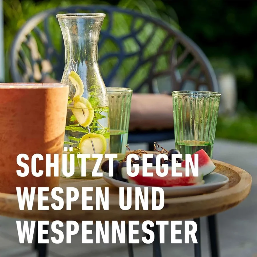 COMPO Wespen Power-Spray, 500 ml Spraydose - Schützt gegen Wespen und Wespennester